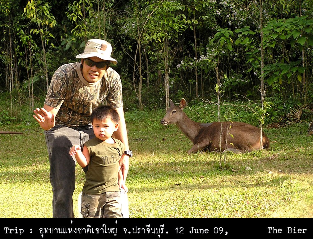 รูปภาพ