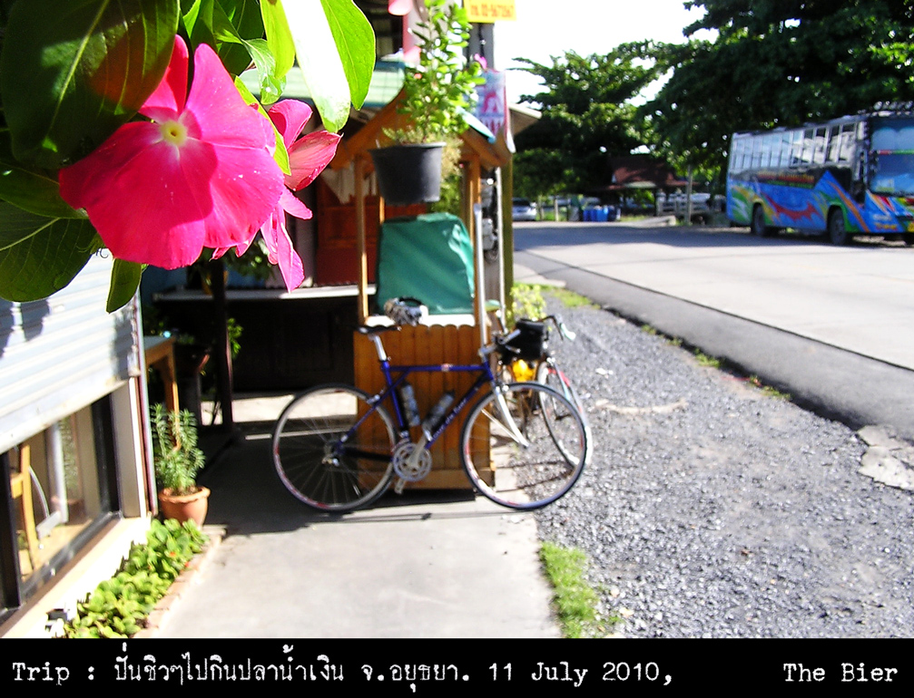 รูปภาพ