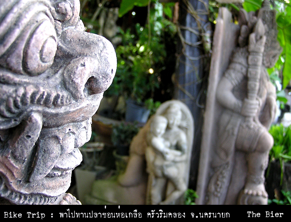 รูปภาพ