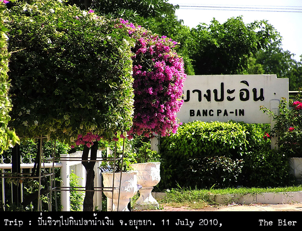 รูปภาพ