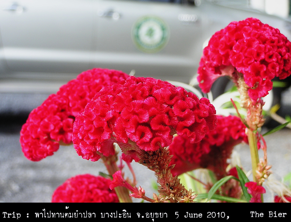 รูปภาพ