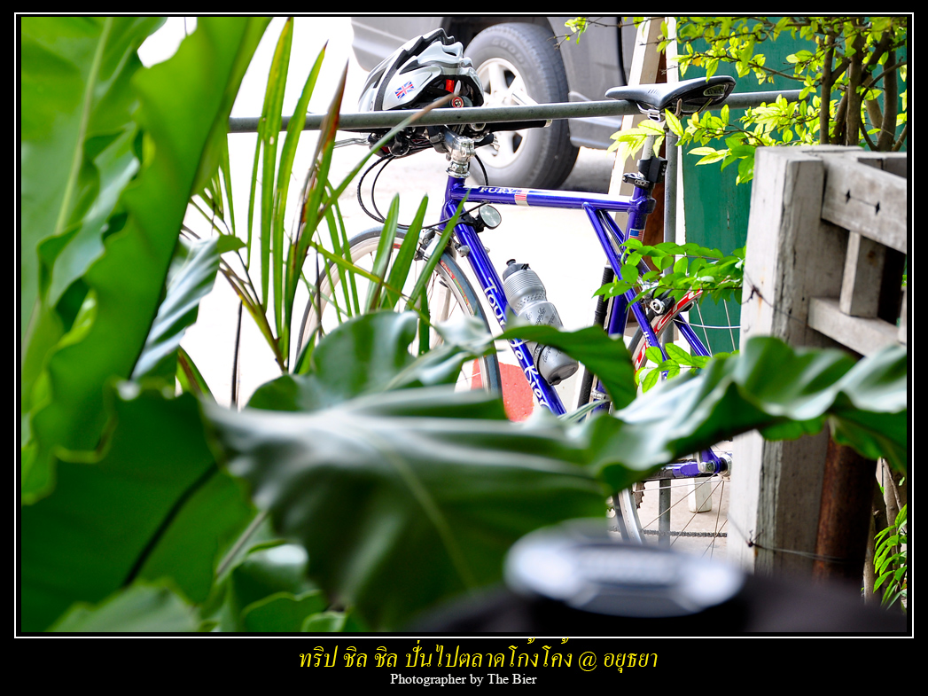 รูปภาพ
