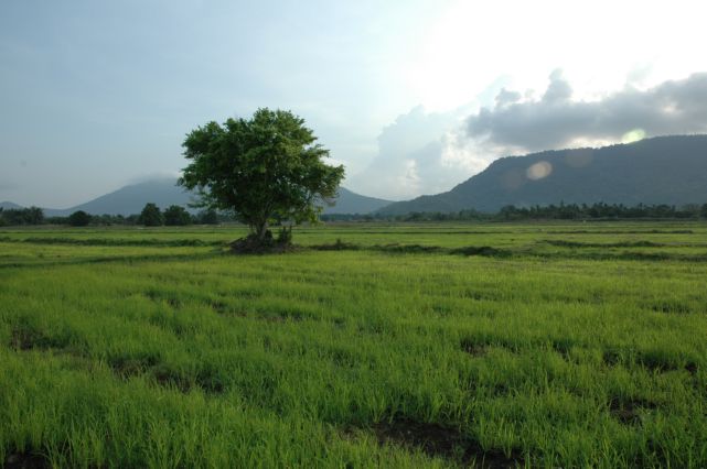 รูปภาพ
